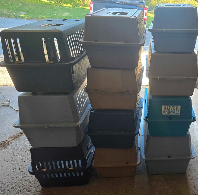 dog crate - photo 2
