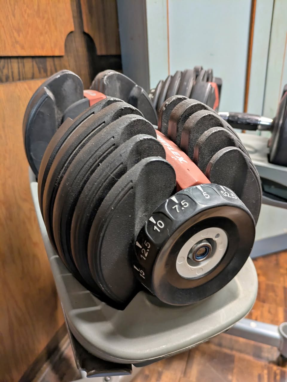 1 Bowflex Dumbbell: For Parts or Cheap Repair