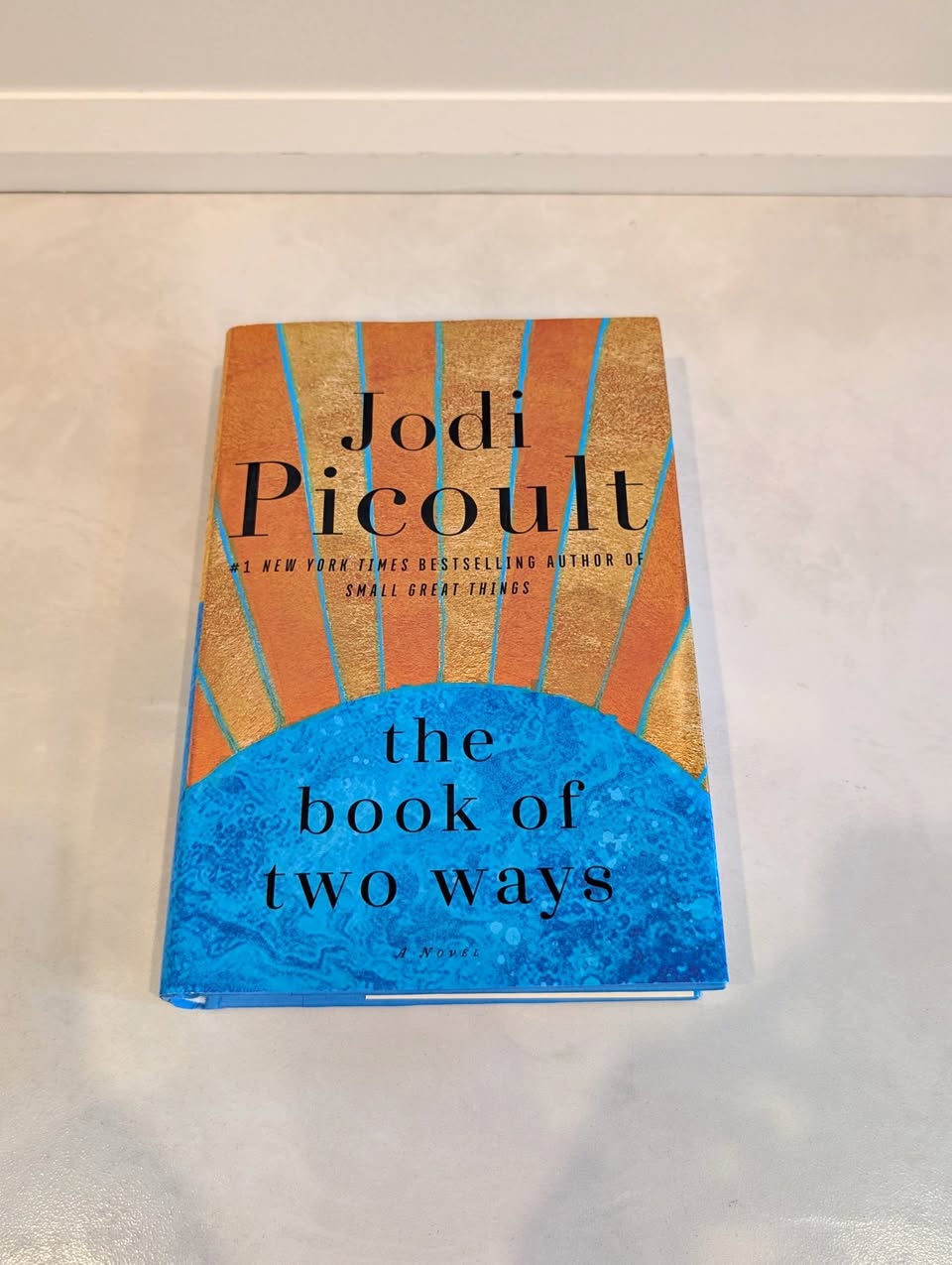 The Book of Two Ways by Jodi Picoult