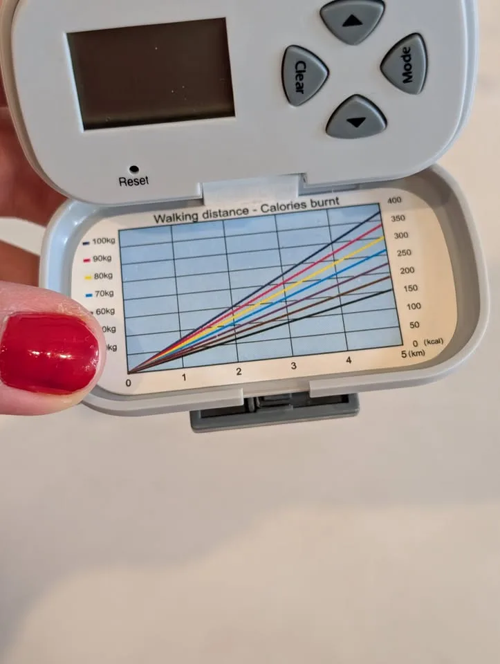 Centrios Talking Pedometer image indicator(6)
