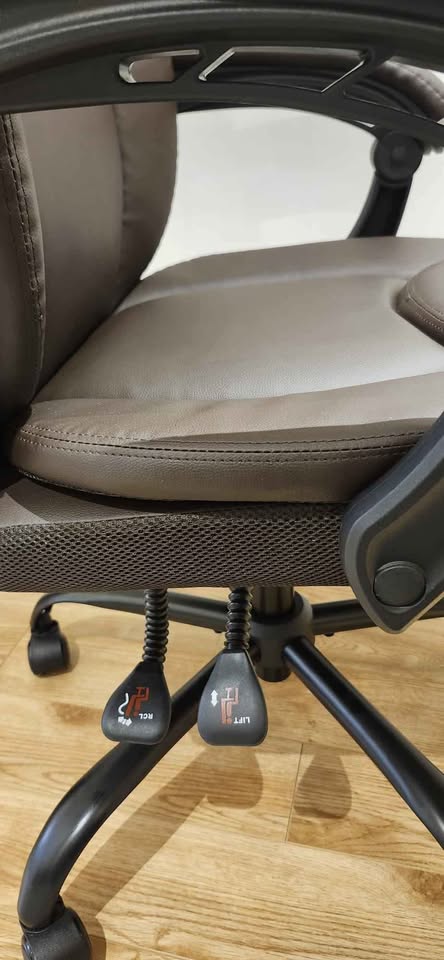Ergonomic Leather Office Chair with Footrest & Lumbar - photo 5