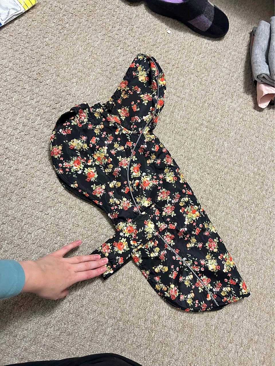 Water Repellent Dog Jacket, Large