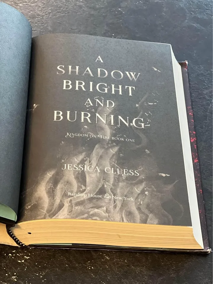 A Shadow Bright and Burning by Jessica Cluess image indicator(3)