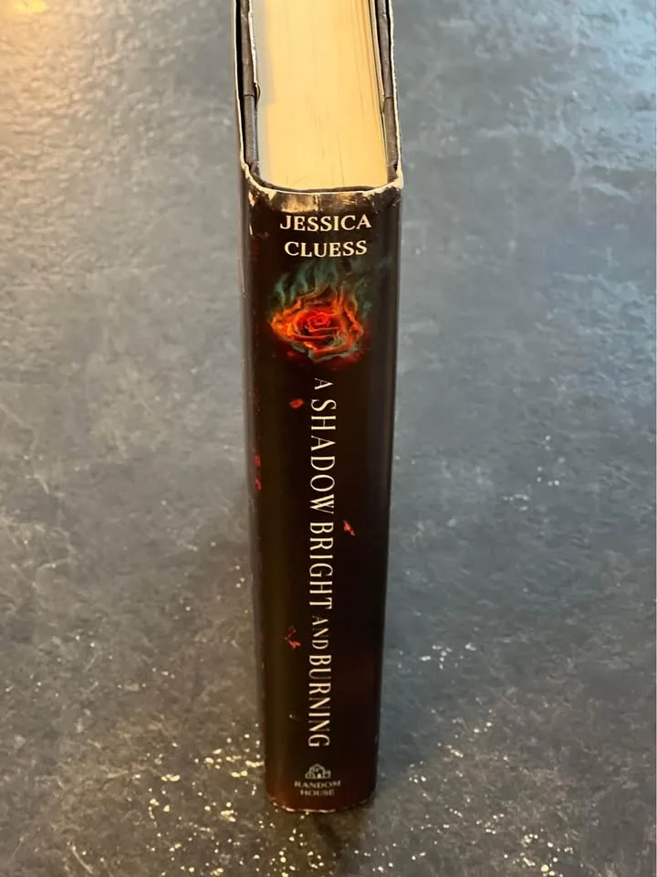 A Shadow Bright and Burning by Jessica Cluess image indicator(4)