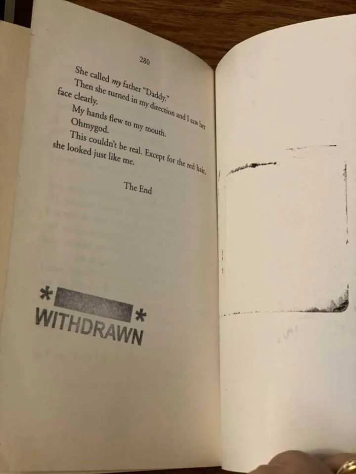 The Seer series by Linda Joy Singleton image indicator(2)