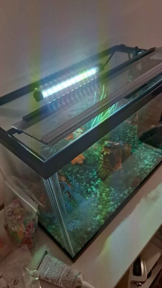 5 Gal tank + Care items image indicator(2)