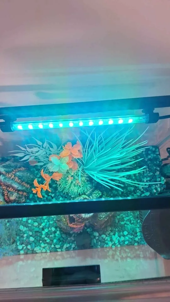 5 Gal tank + Care items image indicator(3)