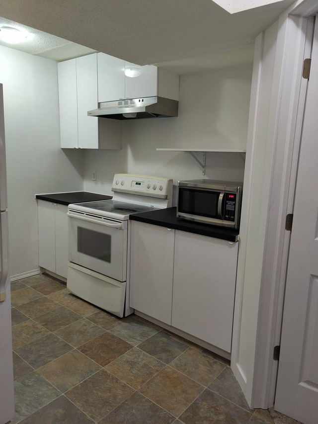 2 bedroom basement suite for rent - photo 3