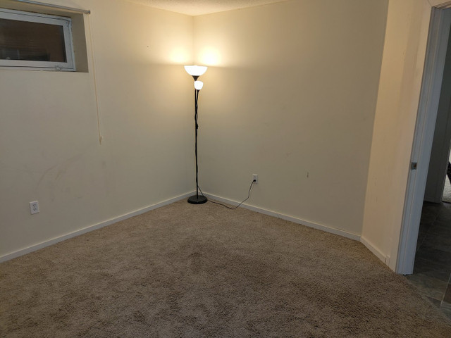 2 bedroom basement suite for rent - photo 5