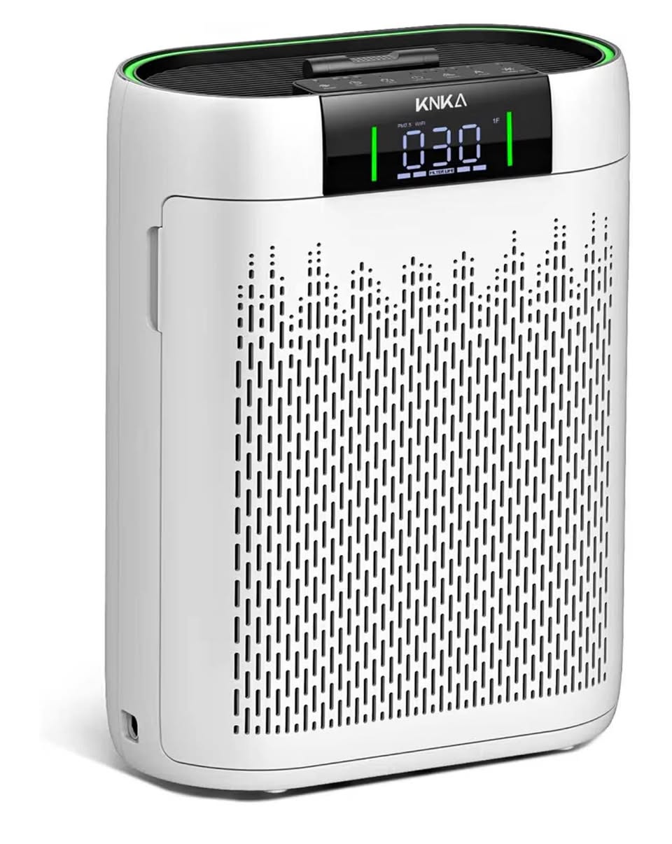 Air Purifiers for Home Large Room