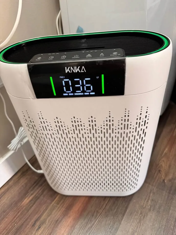 Air Purifiers for Home Large Room image indicator(4)