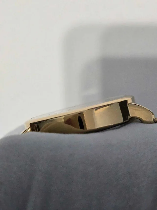 Timex Indiglo T2N598 image indicator(3)