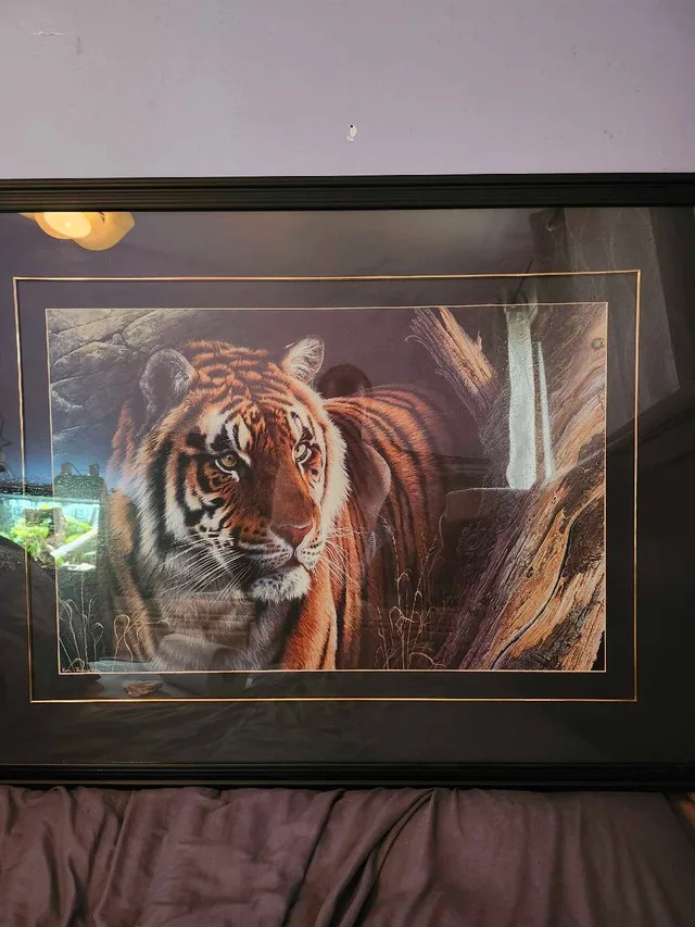 Tiger Picture image indicator(2)