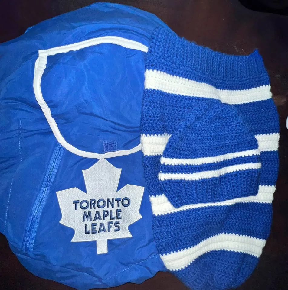 Toronto Maple Leafs thumbnail
