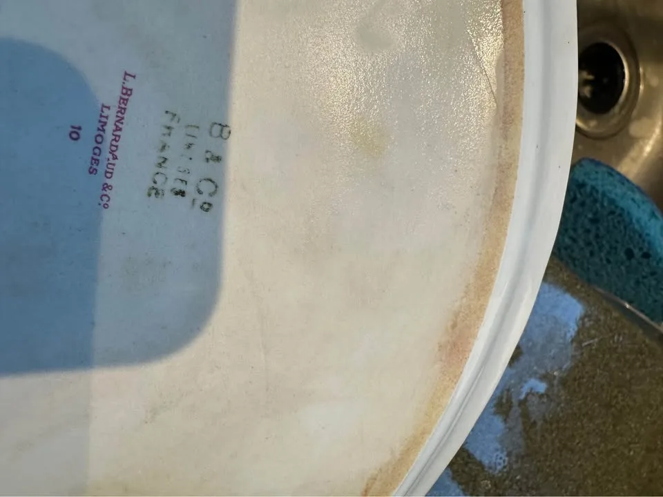 OLD BERNARDAUD LIMOGES PORCELAIN DISH PINK BIRD DECOR VINTAGE image indicator(2)