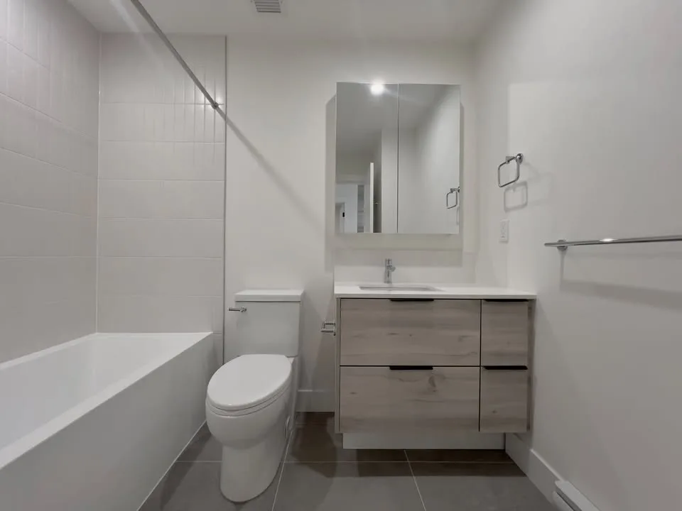 1 Bed 1 Bath Apartment For Rent image indicator(8)