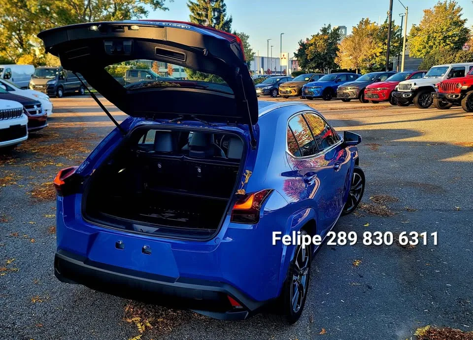 2023 Lexus UX 250H PREMIUM Hybrid image indicator(3)