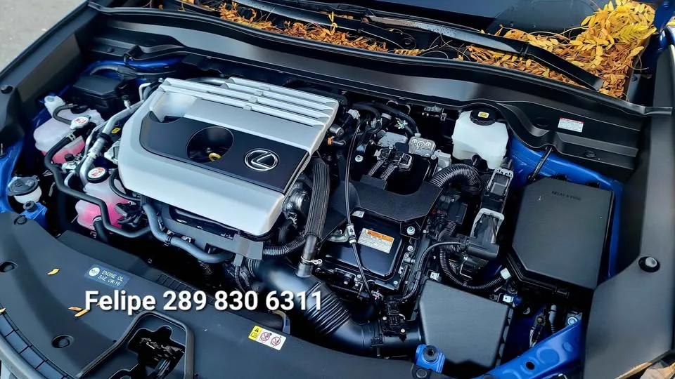 2023 Lexus UX 250H PREMIUM Hybrid image indicator(10)