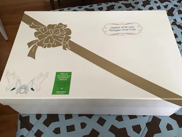 Wedding dress image indicator(7)