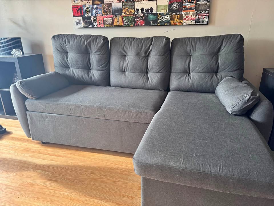 Sectional Couch *pull out section*