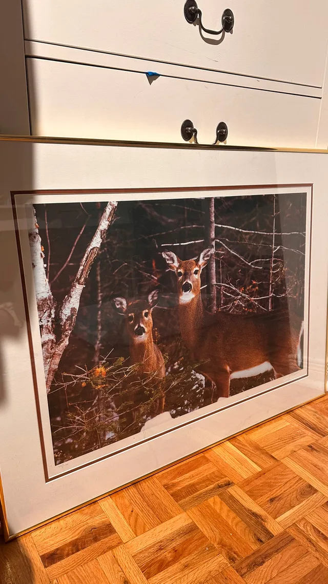 32x24inch Deer Picture Frame image indicator(2)