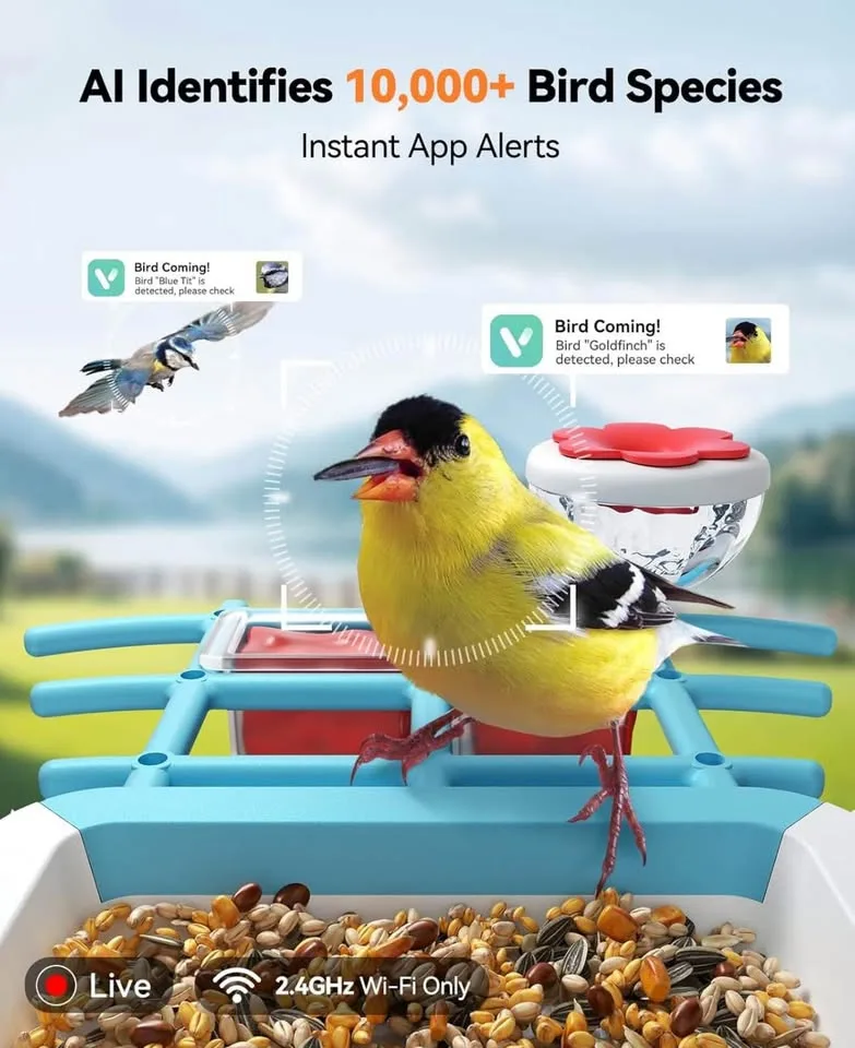 FEELNEEDY Smart Bird Feeder with Camera image indicator(2)