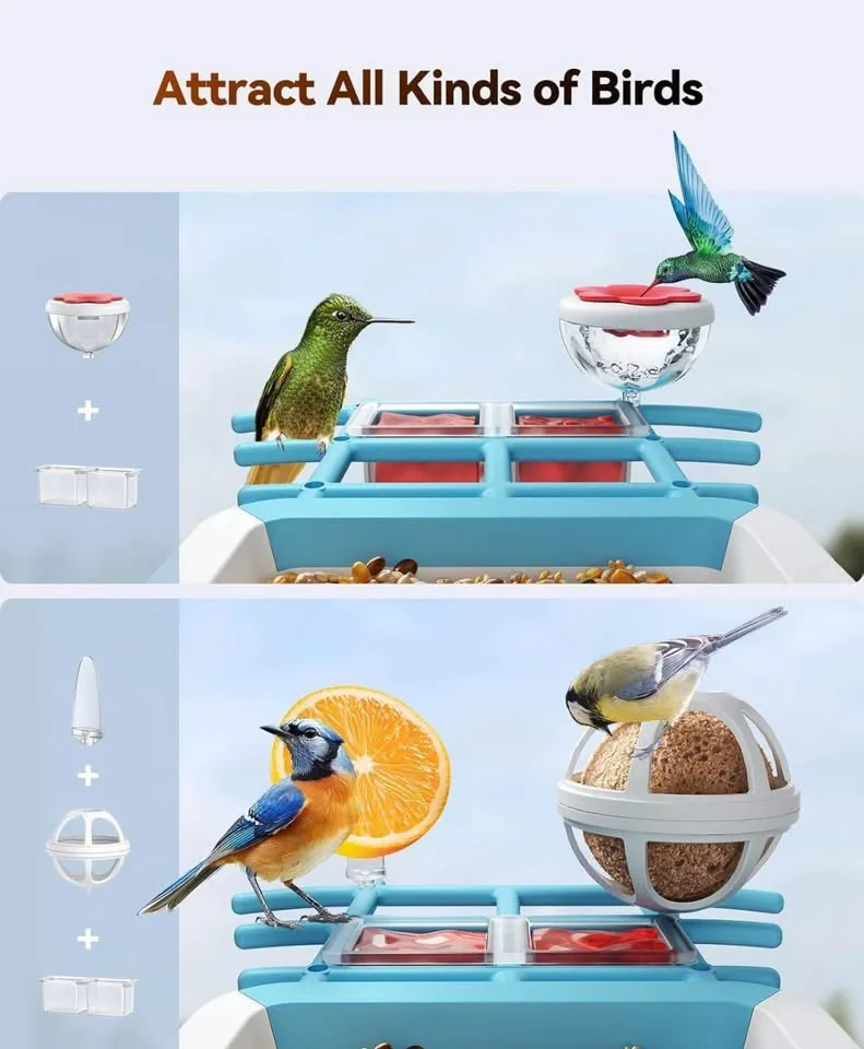 FEELNEEDY Smart Bird Feeder with Camera image indicator(4)