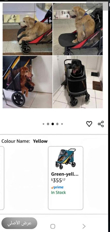 Large Dog Stroller - Heavy Duty, New