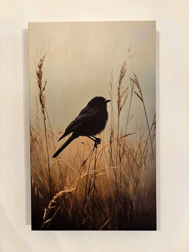 Beautiful Blackbird in Meadow Canvas Wall Art-Ready To Hang thumbnail