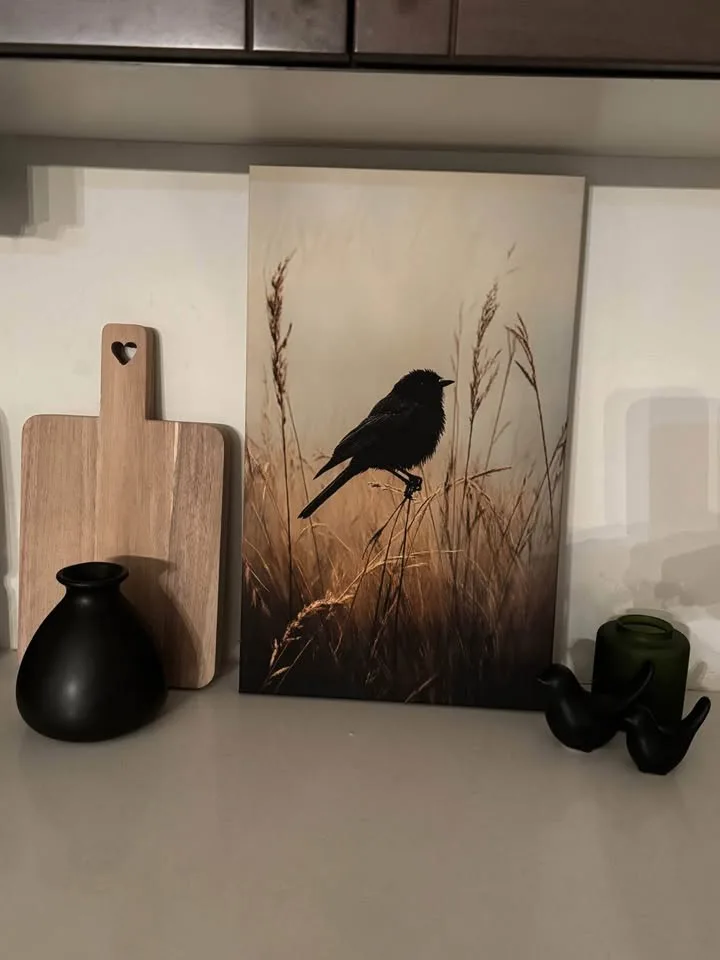 Beautiful Blackbird in Meadow Canvas Wall Art-Ready To Hang image indicator(4)