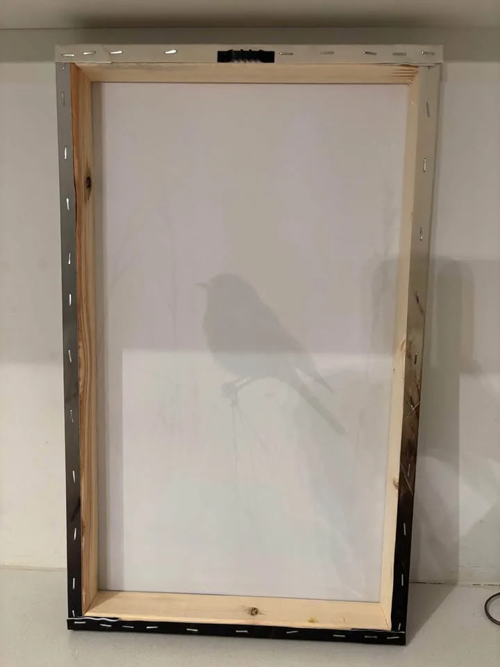 Beautiful Blackbird in Meadow Canvas Wall Art-Ready To Hang image indicator(8)