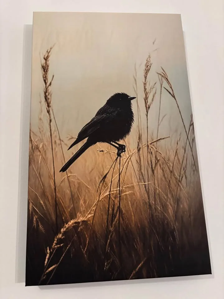 Beautiful Blackbird in Meadow Canvas Wall Art-Ready To Hang image indicator(10)