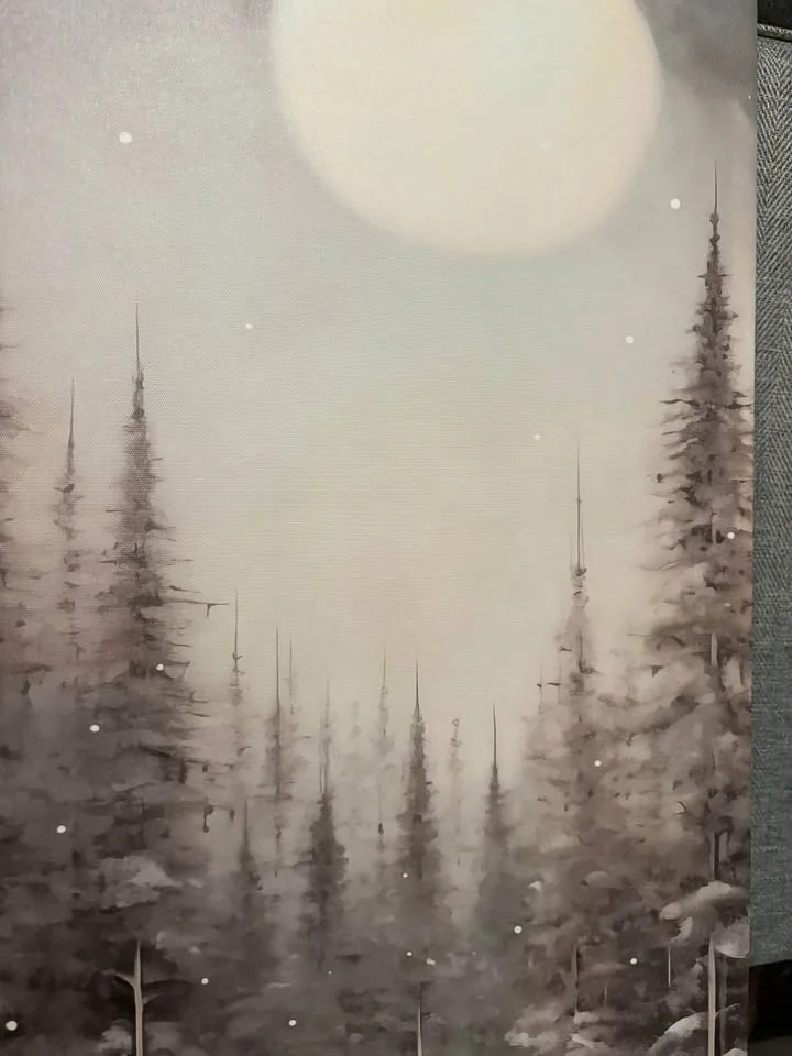 Beautiful Moonlit Canvas-Ready to Hang image indicator(3)