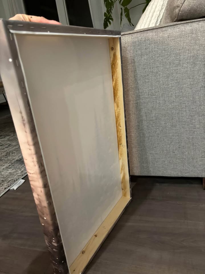 Beautiful Moonlit Canvas-Ready to Hang - photo 4