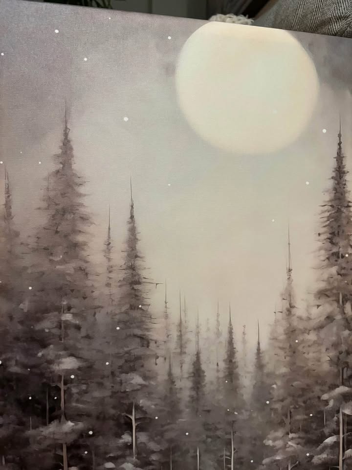 Beautiful Moonlit Canvas-Ready to Hang - photo 5