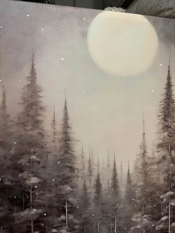 Beautiful Moonlit Canvas-Ready to Hang image indicator(5)