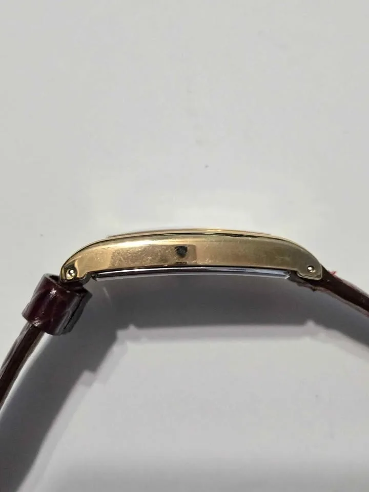 Hamilton Masonic 6172 Mens With Box 001/100 image indicator(3)