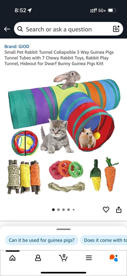 Small pet fun tunnel and chew toys