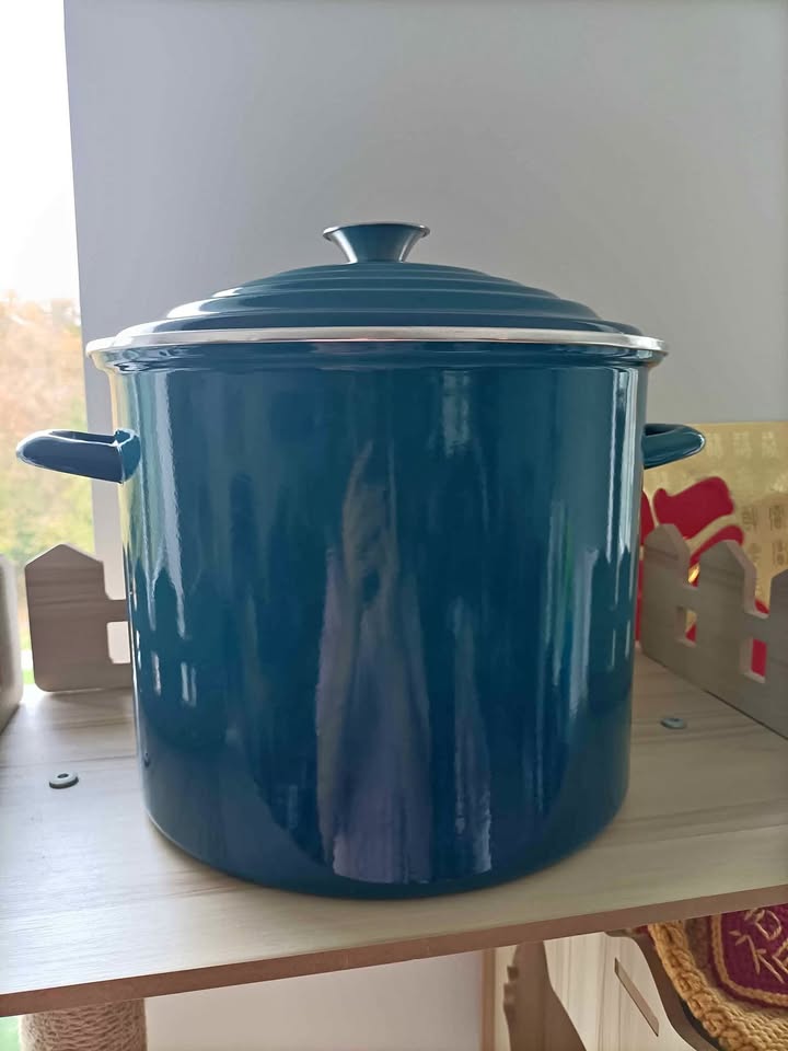 ‼️NEED GONE ASAP‼️Tall PC Pot - $5