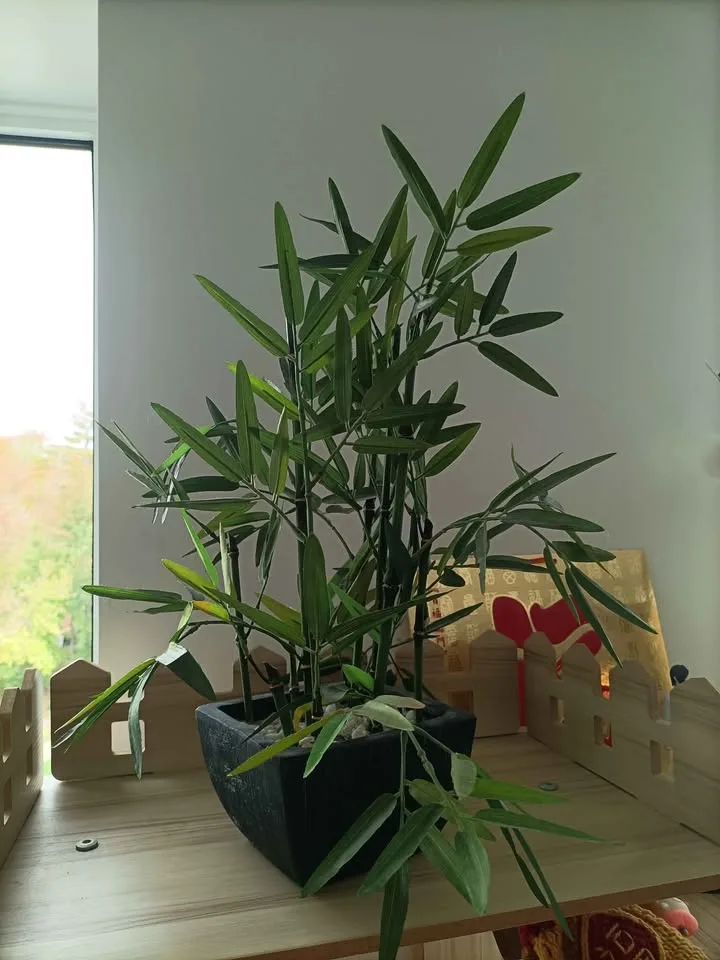 ‼️NEED GONE ASAP‼️Fake Bamboo Plant - $15 image indicator(2)