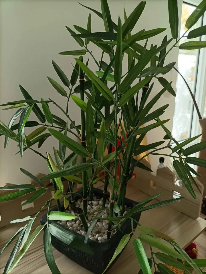 ‼️NEED GONE ASAP‼️Fake Bamboo Plant - $15 image indicator(3)