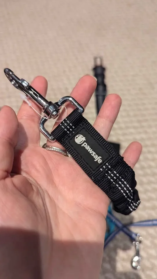 Various pet leashes image indicator(2)