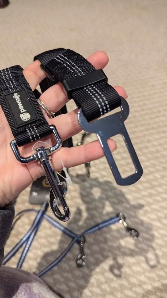 Various pet leashes image indicator(3)