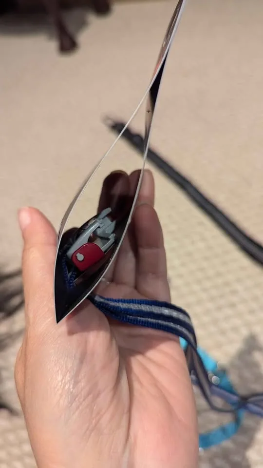 Various pet leashes image indicator(6)