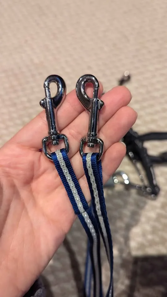 Various pet leashes image indicator(7)