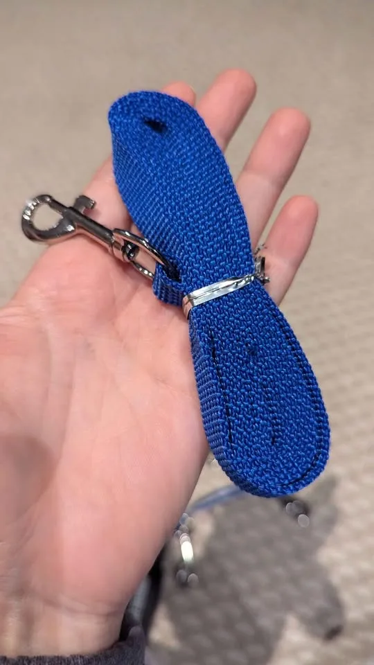 Various pet leashes image indicator(8)