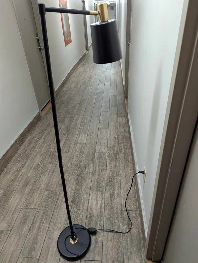 Globe Electric Lex 60 inch Floor Lamp image indicator(3)