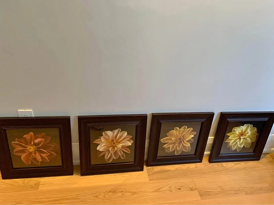 Canavas paintings (framed) thumbnail