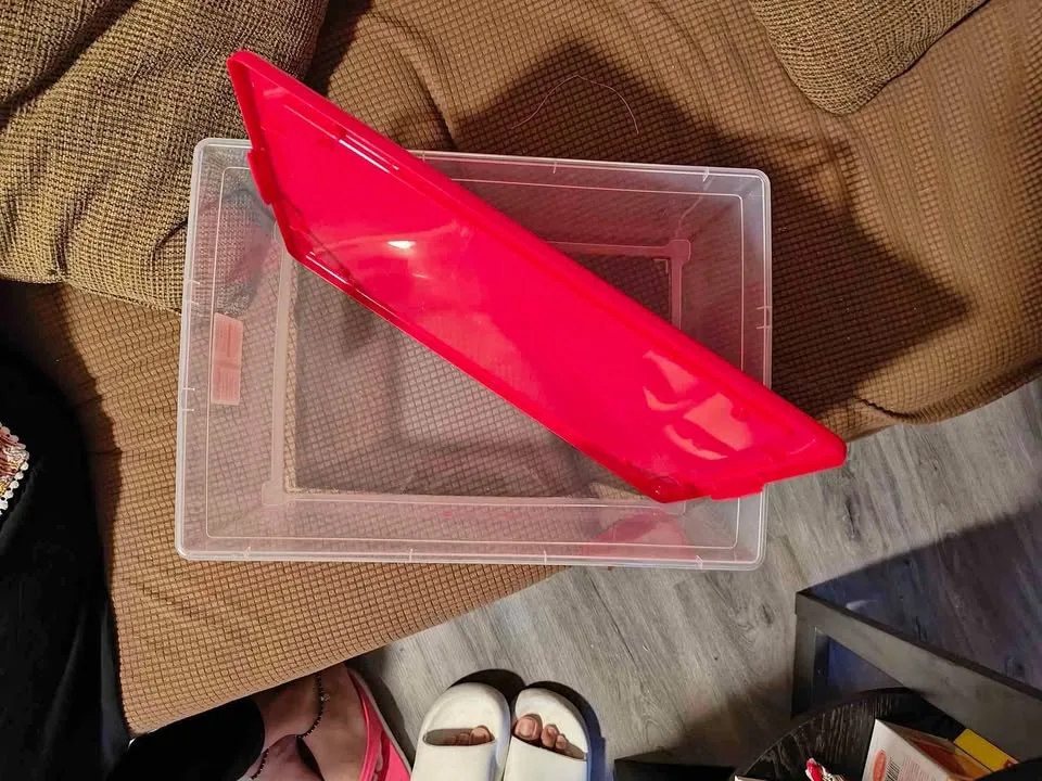 Organizer box with lid