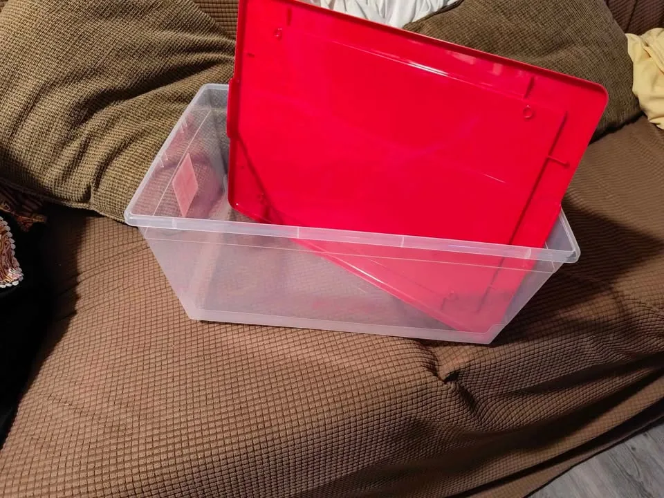 Organizer box with lid image indicator(2)